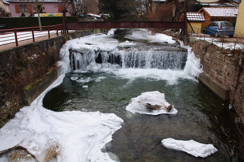 DSC_1009.jpg
