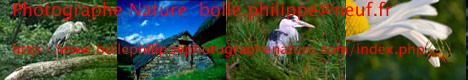 Des photos de nature par Philippe Bolle