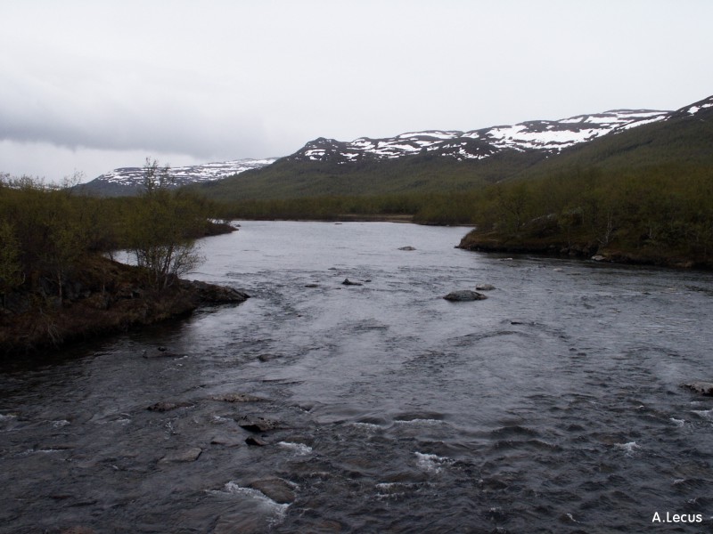 Rivière de Laponie