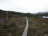 Kungsleden