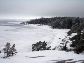 Frozen beach