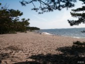 Plage de la mer Baltique