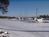 Frozen harbour