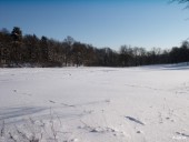 Champ de neige