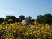 Pink house