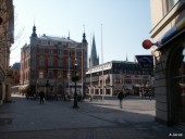 Steeple of the cathedral