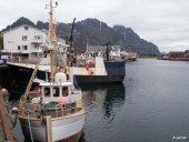 Austvågøy