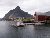 Port de Reine