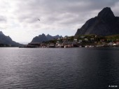 Reine