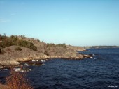 Rocky coast