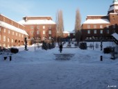 Snowy KTH