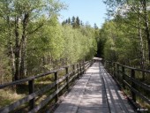 Wooded bridge