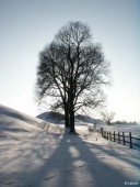 Old Uppsala